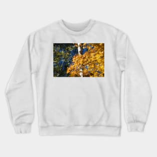 Autumn Forest Crewneck Sweatshirt